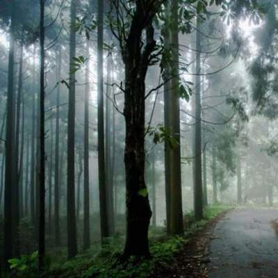 Cabkalimpong